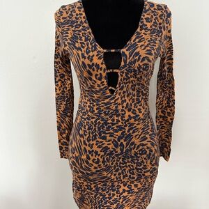 Leopard Print Long Sleeve Dress